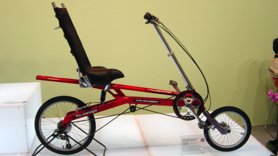 Tartaruga Type RECUMBENT その5