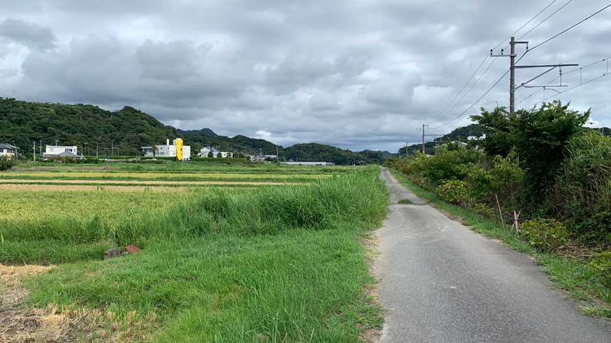 タルタルーガ自転車TypeSPORTキャンプツーリング千葉