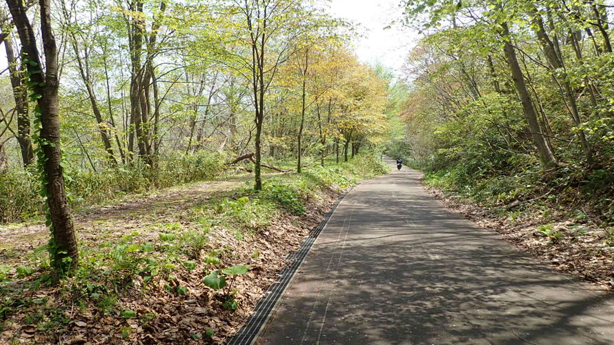 タルタルーガ自転車北海道キャンプ釣～リング2025