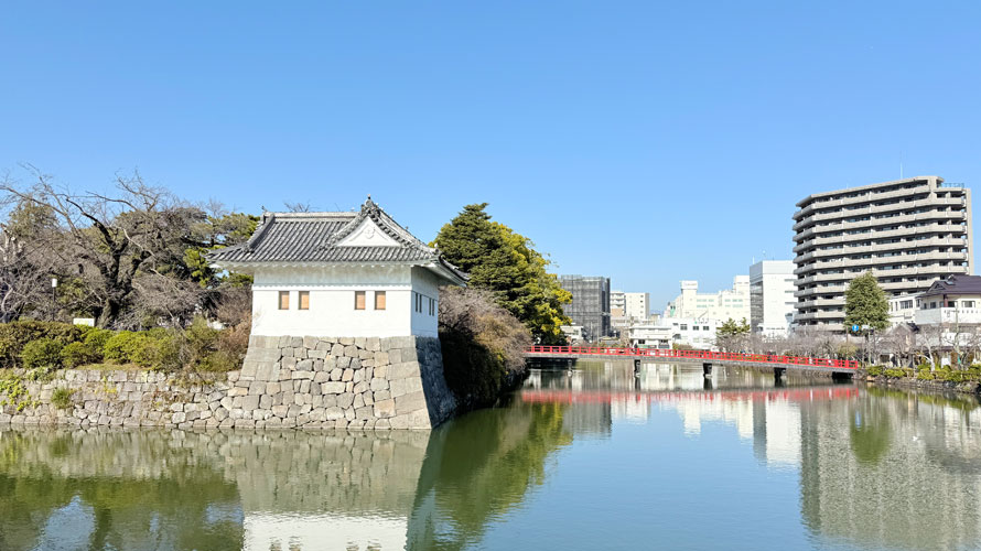 タルタルーガ自転車ソロ輪行旅湯河原2026